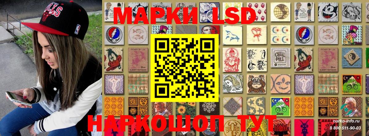 где купить наркоту  Вход с VPN  Камышлов  Марки 25I-NBOMe 1,8мг 