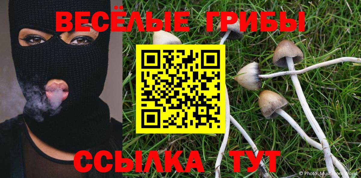 Галлюциногенные грибы ЛСД  Вход с VPN  Камышлов 