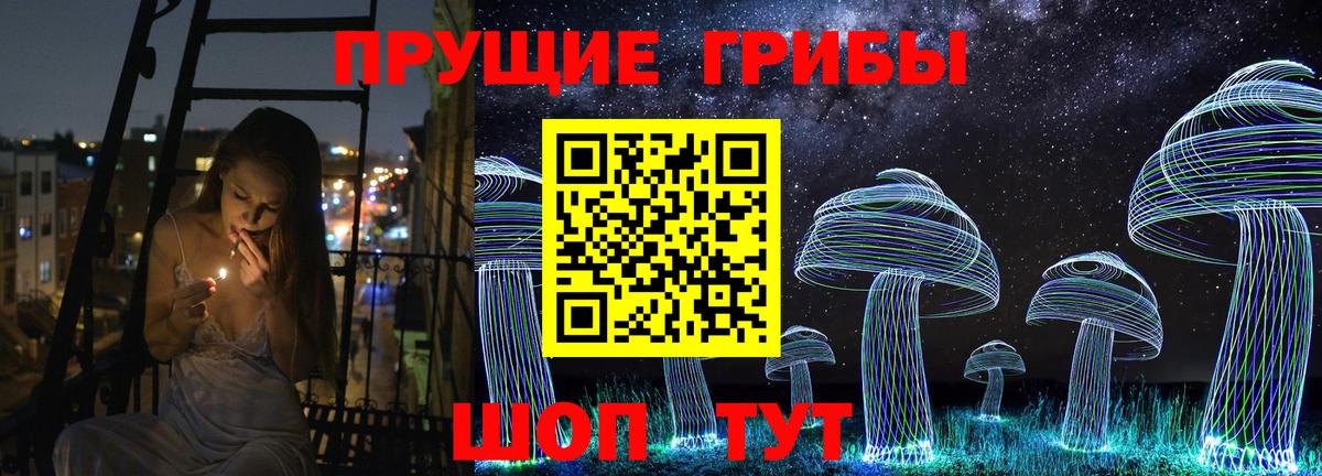 Псилоцибиновые грибы ЛСД Камышлов